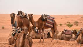 From Djerba & Zarzis: Ksar Ghilane & Matmata tour