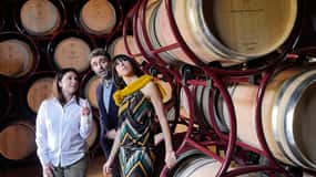 Bolgheri: Winery Tour with Wine Tasting
