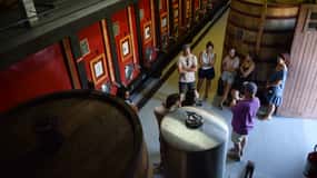 Vale do Douro: Tour Vinícola Quinta do Tedo c/ Degustação