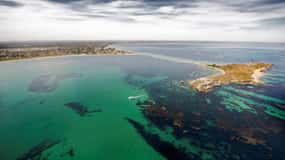 Rockingham: Excursión a las Islas Shoalwater e Isla de los Pingüinos