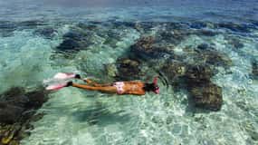 Roatán: Daniel Johnson's Monkey/Sloth Sanctuary and Snorkel