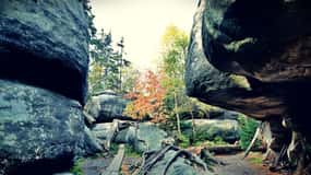 From Wroclaw: Full-Day Stolowe Mountains Trekking Tour