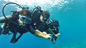 Chalkidiki: Scuba Diving for Beginners in Kassandra