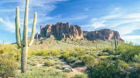 Phoenix/Scottsdale: Apache Trail Tour & Canyon Lake Cruise