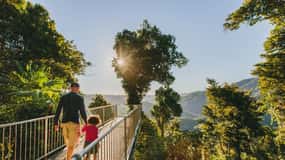 Parc national de Wooroonooran : Admission à la passerelle tropicale Mamu