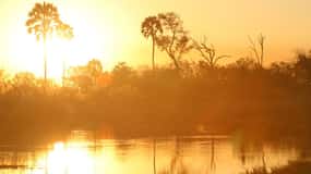 Okavango Delta Day Trip