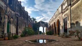 Depuis Mérida : Uxmal, Hacienda Yaxcopoil et Cenote avec déjeuner