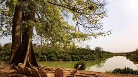 Day Trip to the Sine-Saloum Realm (Joal-Fadiouth-Mar Lodji)