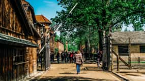 Kraków: Auschwitz-Birkenau Live Guidad tur & upphämtning från hotell