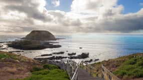 Melbourne: Healesville Sanctuary & Phillip Island Tour