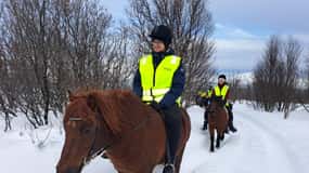 Tromsø: Experiencia invernal a caballo en Lyngen