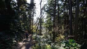 Kamakura: Daibutsu Hiking Trail Tour with Local Guide