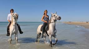 Bodrum: Experiência de passeio a cavalo com transporte do hotel