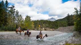 Banff National Park: 1-Hour Spray River Horseback Ride