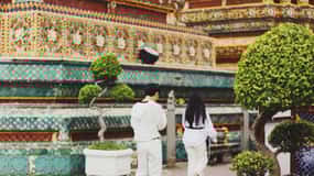 Bangkok: Privat halvdags-tempeludflugt