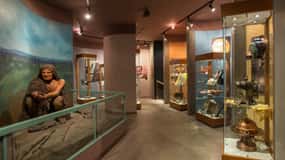 Quebec: Cuivres A. Gilles - (Entrada gratuita) Taxa para o workshop