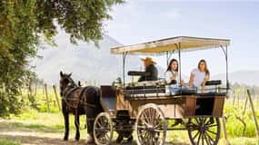 Valle de Colchagua...El Primer Destino Vitivinícola de Chile
