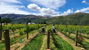 Queenstown: Tour guidato in bicicletta elettronica con visite e degustazioni di cantine