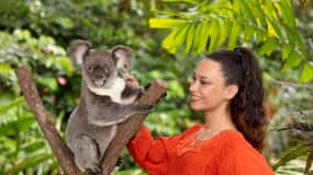 Kuranda Koala Gardens Park Entry