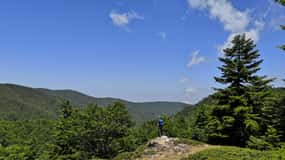 Reggio Calabria: Aspromonte Trails Trek to Montalto Summit