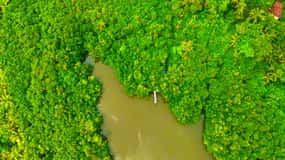 Balapitiya: Madu River Boat Safari and Cinnamon Garden visit