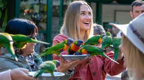 Currumbin Wildlife Sanctuary Entry Ticket