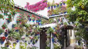 Córdoba: Visita guiada al Festival de los Patios