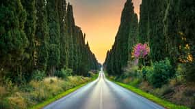 From Florence: Trip to San Gimignano, Volterra and Bolgheri