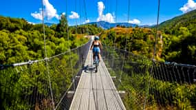 Da Queenstown: Tour del vino e della bicicletta nella "Valle delle Vigne