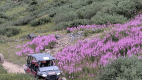 Silverton: Halbtägiges ATV-Offroad-Abenteuer