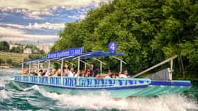 Rhine Falls: 15-Minute Boat Tour