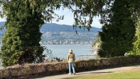 Stanley Park CarTour:SmallGroup/Comfort&CheaperThan BikeTour