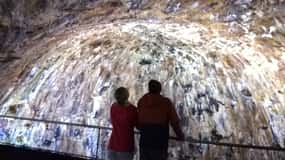 From Angra: Terceira Island Half-Day Geotour (Shared Tour)