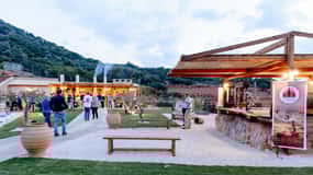 Crete: Olive Oil Factory Tour, Dinner & Traditional Dancing