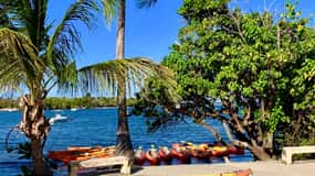 Fajardo: Bioluminescent Lagoon Kayak or Full Moon Kayak Tour