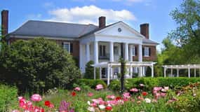 From Charleston: Boone Hall Plantation Entry with Transfers