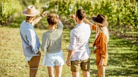 Sonoma Valley: Guided Winery Tour with Picnic Lunch