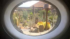 Teguise Vip Tour Minibus: Flea market, LagOmar, Cactus garden, Foundation