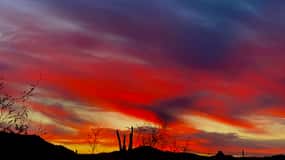 Phoenix: Sonoran Desert Guided Sunset Hike