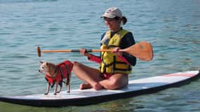 1-godzinny paddle boarding w zatoce Acapulco