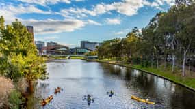 Adelaide: City Kayaking Experience
