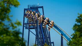 San Antonio: SeaWorld Skip-the-Line Park Admission Ticket