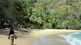 Tobago: Island Circle