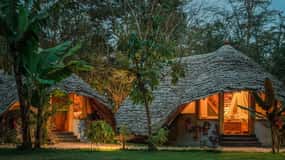 Safari de 3 dias em Tarangire, Ngorongoro e Kilimanjaro