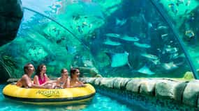 San Antonio: Aquatica Skip-the-Line Park Admission Ticket