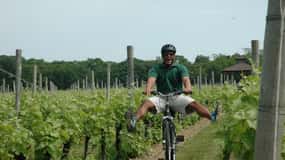 NYC: Klassisk guidet cykeltur i vinlandet