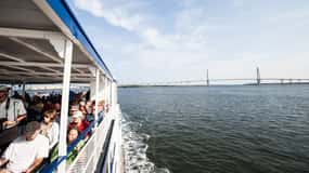 Charleston: Passeio turístico pelo porto e observação de golfinhos