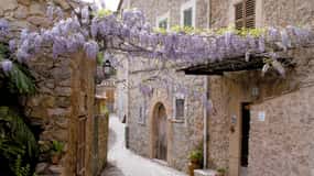 Valldemossa: Discover Valldemossa with a transfer from Palma