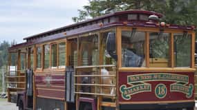 Ketchikan: Totem Pole, Wildlife & City Trolley Tour