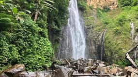 Jakarta: Botanical Garden & Rainforest Trekking to Waterfall